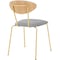 Armen Living Neo Modern Gray Velvet and Gold Metal Leg Dining Room Chairs, PK2 LCNESIGLGRY - alternate 7